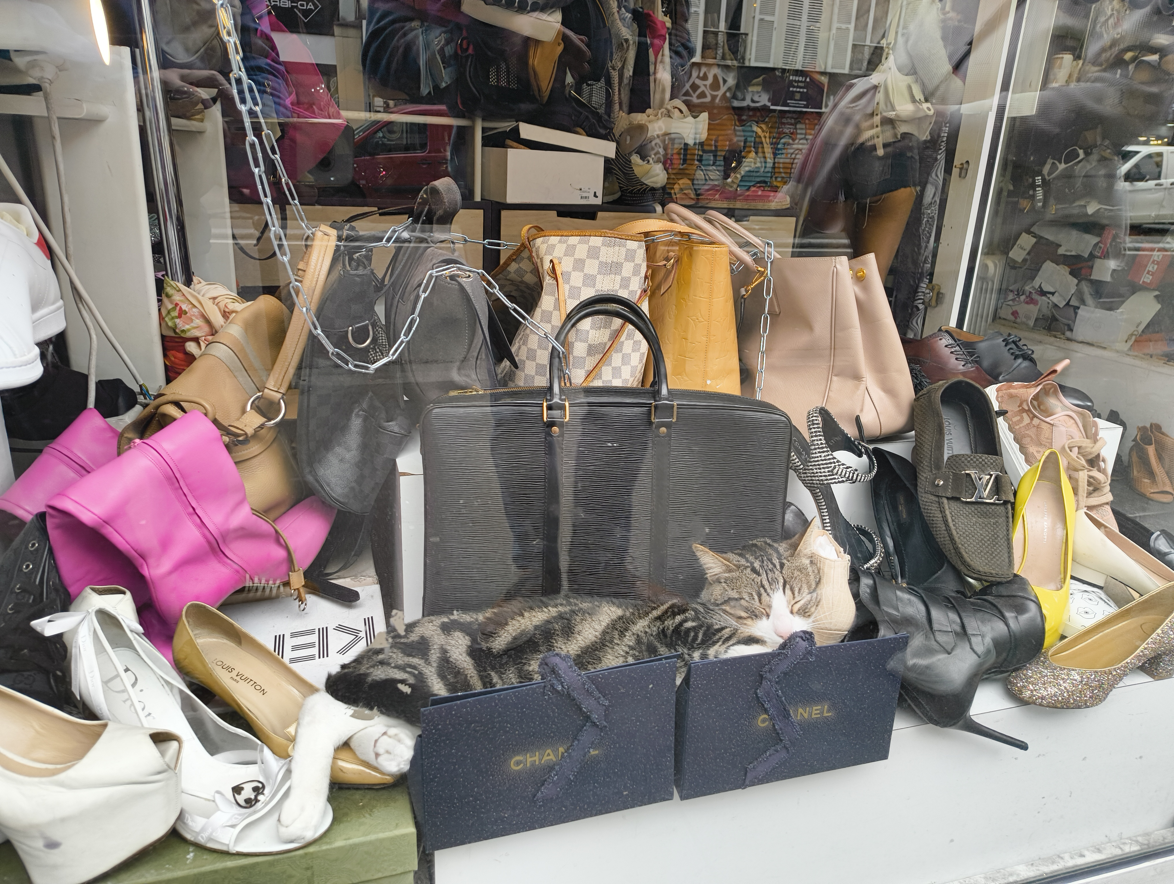 A tabby cat asleep inside a Chanel box in the window of a Paris handbag shop, photographed 20 May 2026