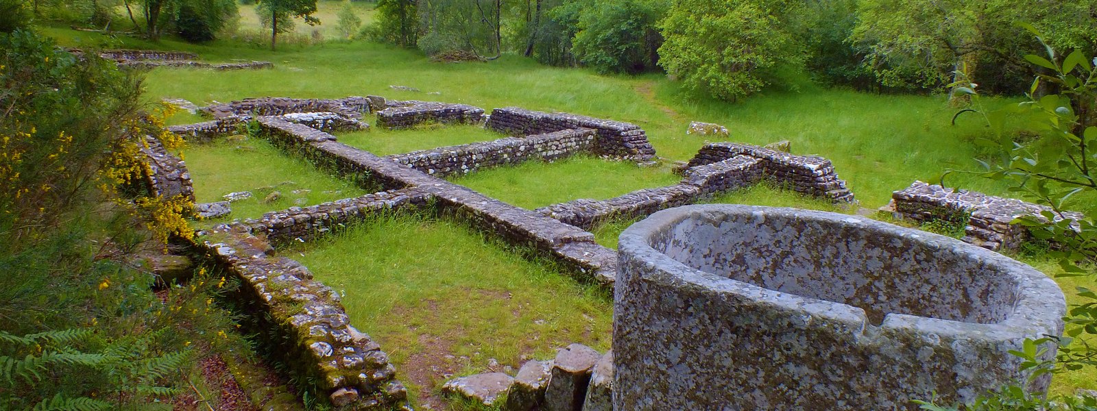 Low stone wall foundations of the Gallo-Roman villa at Les Cars and a round granite cuve in a grassy forest clearing